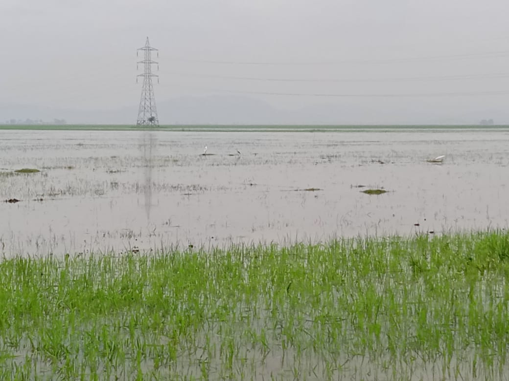 Gunjan12380698's tweet photo. Flood near my village https://t.co/lX1t9xODvY