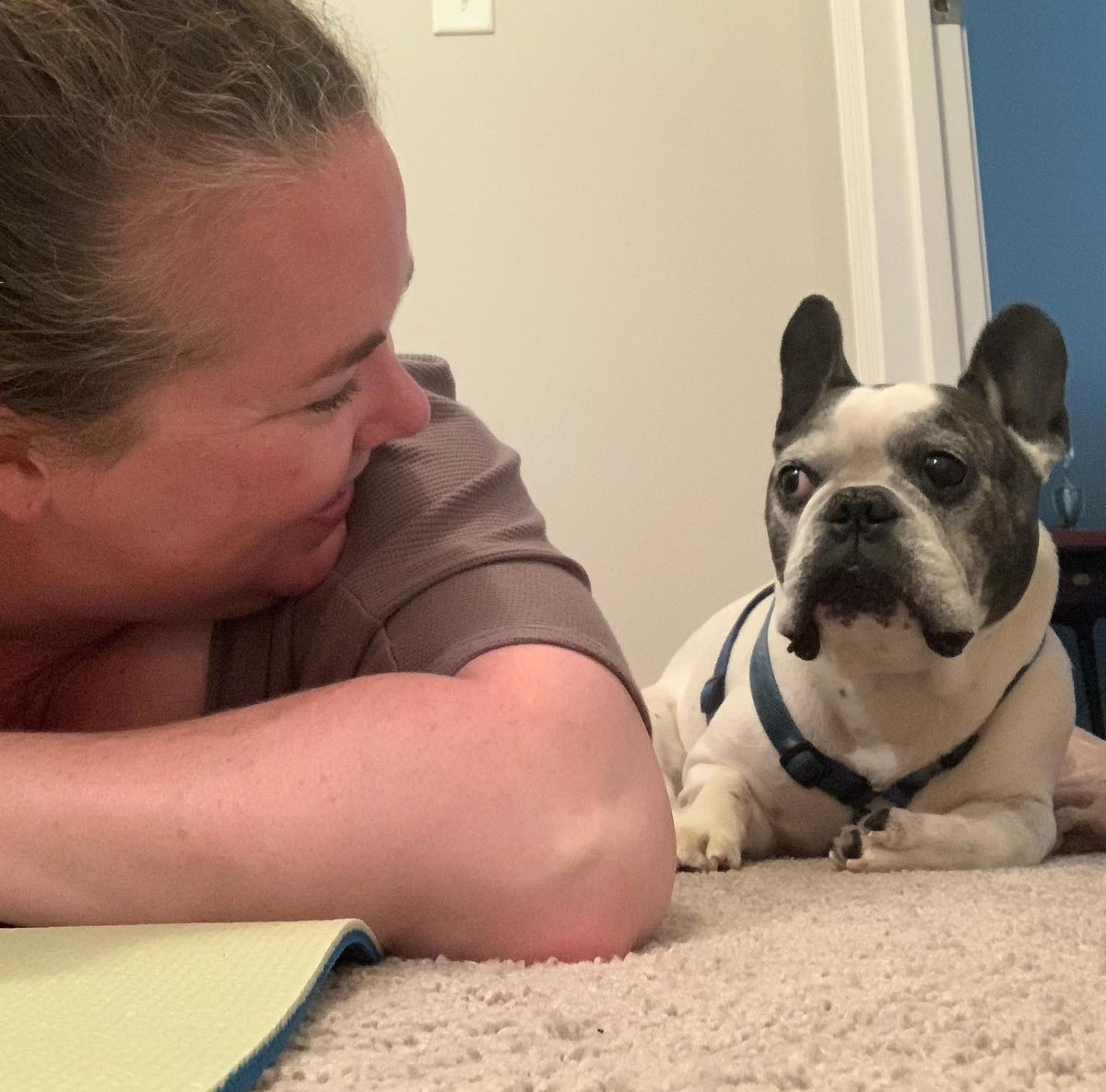 FrenchieSlider's tweet photo. My mom is pretty cool. https://t.co/XAzzUYx0Dm