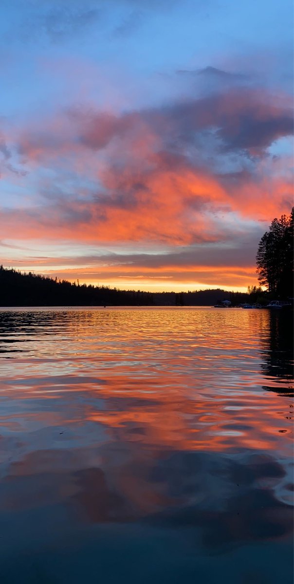 gladyssj3's tweet photo. happy place https://t.co/szxx9CDG4W