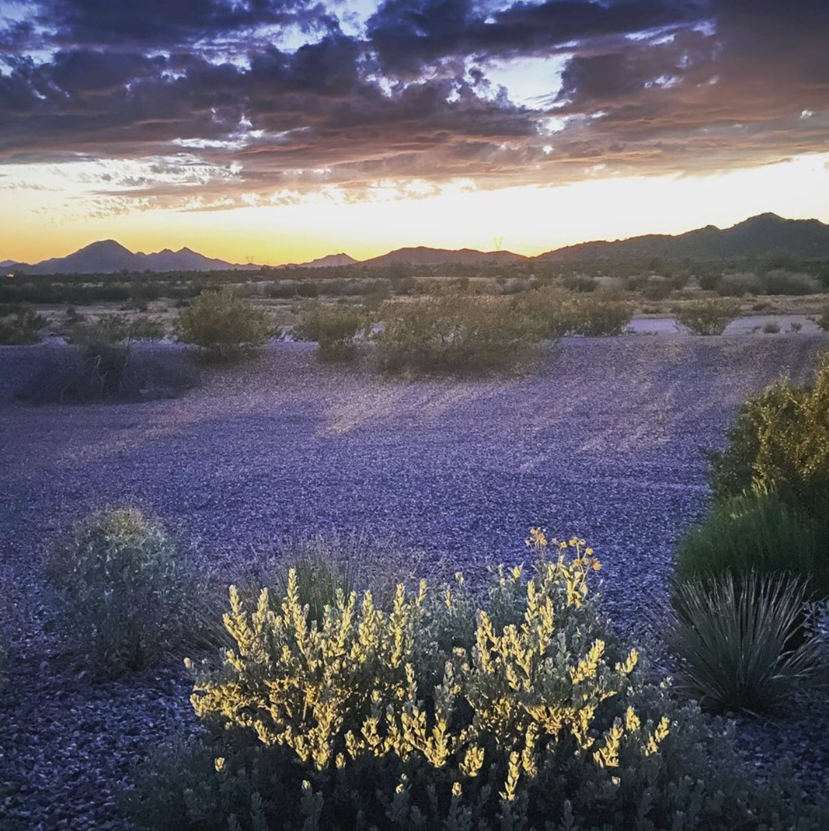 We sure love the sunsets here in Estrella. 📸  Instagram user Kasey Fletcher  #LifeInEstrella #ArizonaSkies #Sunset