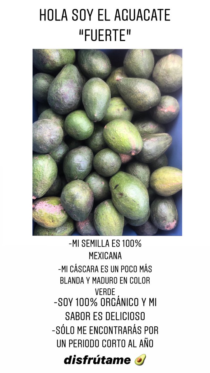 organicaja's tweet photo. 🥑🥑🥑🥑🥑 https://t.co/UgWDhpZa7C