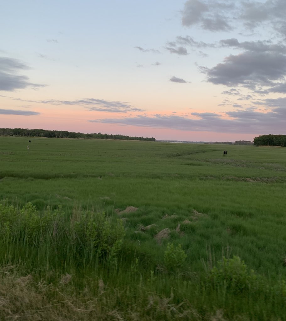 Open your eyes and see the beauty♥️