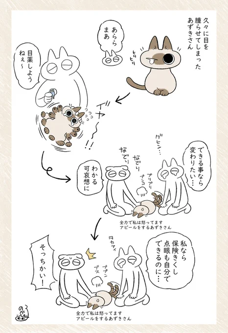 せめてなぜ目薬を打つ必要があるのか説明できればいいのに #シャム猫あずきさんは世界の中心 