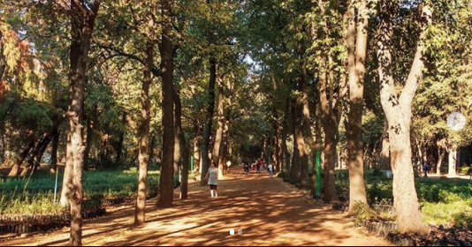 ViverosCoyoacan's tweet photo. ⚠️Comunicado Importante⚠️ Amigos de los Viveros,
Aviso Oficial:
✅Se reabren los Viveros de Coyoacán a partir de mañana en un horario de 6:00M a 5:00PM✅ 🔹ENTRADA, Puerta 1 universidad y progreso.🔹
🔸SALIDA, Puerta 3 Av. México Coyoacan y Madrid. 🔸

1/4 https://t.co/puAzutzCaf