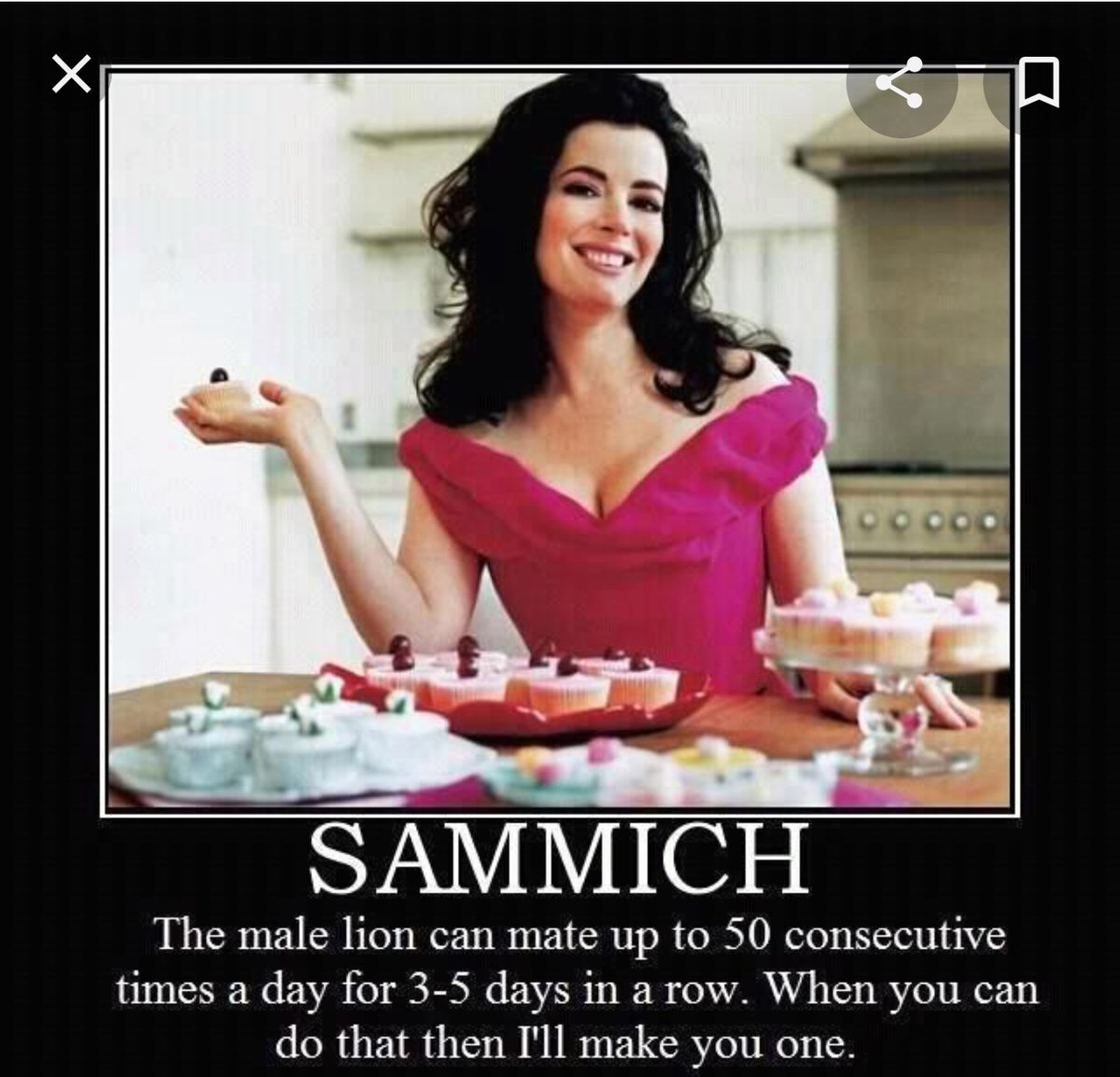 Make Me A Sammich Bitch