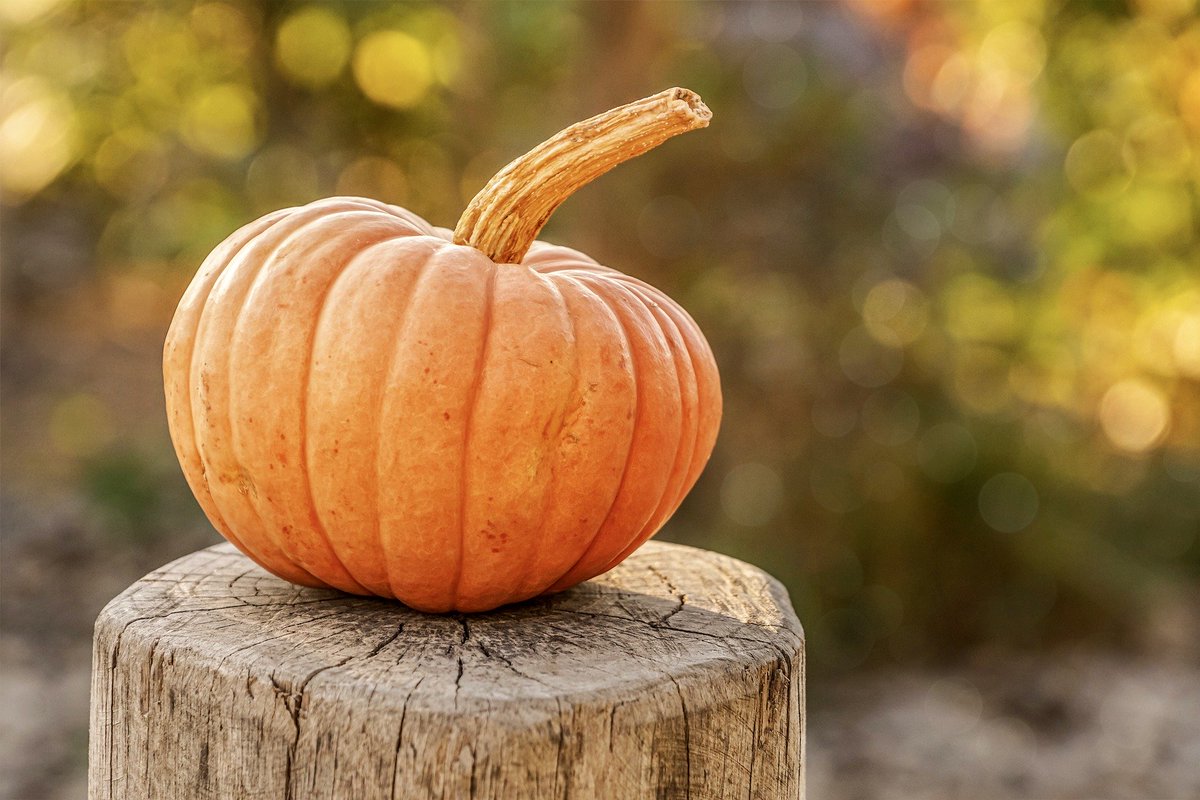 It’s the season of pumpkin again! Do you know that this humble vegetable is a great source of Vitamin C and beta carotene? Embrace the season and start adding them into your daily serves of vegetable intake right now! #winter 
nomoneynotime.com.au/everyday-super…