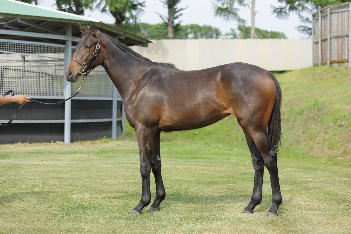 サマーセール2020