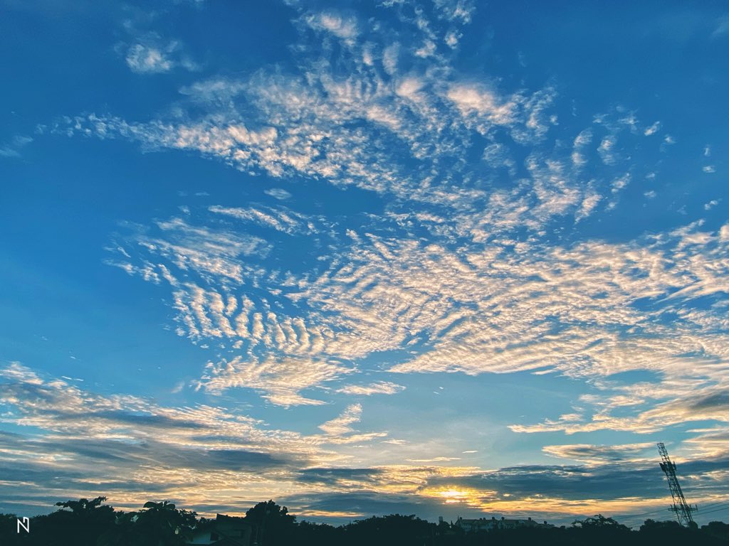 neilgermo's tweet photo. June 29, 2020
#LookUpIts6oClock #ThisIsWhatISee #aNGles https://t.co/YNgoLlsN7H