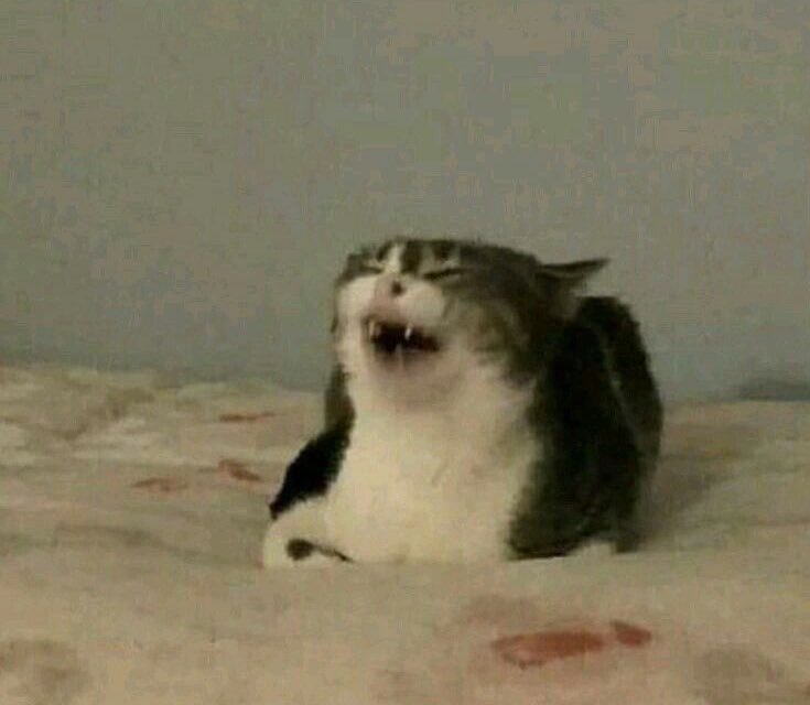 “Esa es mi voz?” “Esa es MI VOZ?” // yo viéndola por 7382863 vez.