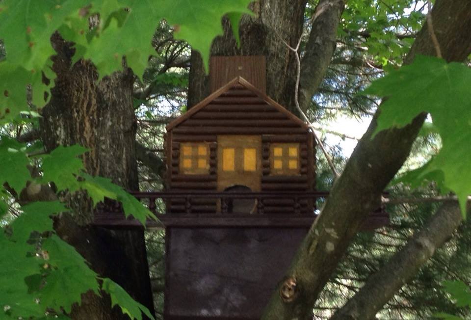 Decided he couldn’t just run around the house all day so I decided to build him a home amd mount it in a tree next to my garage.