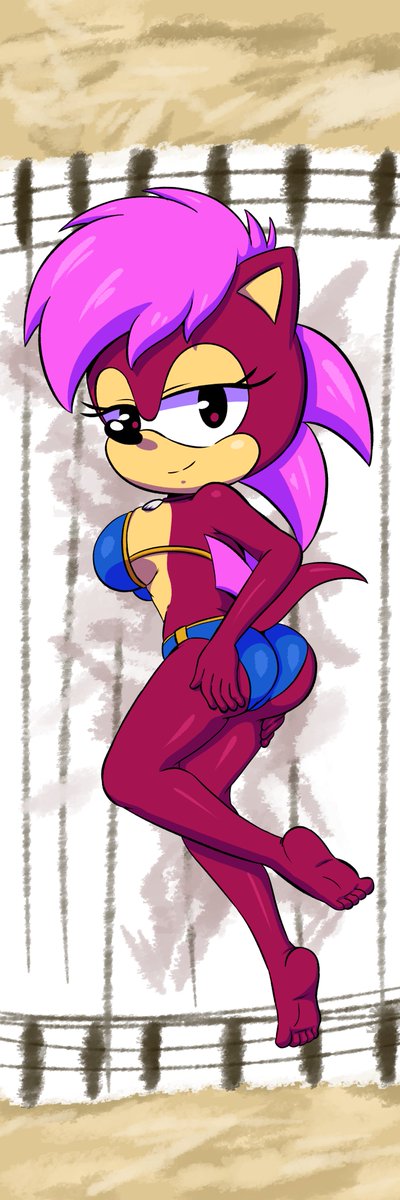 sonia the hedgehog sonia the hedgehog