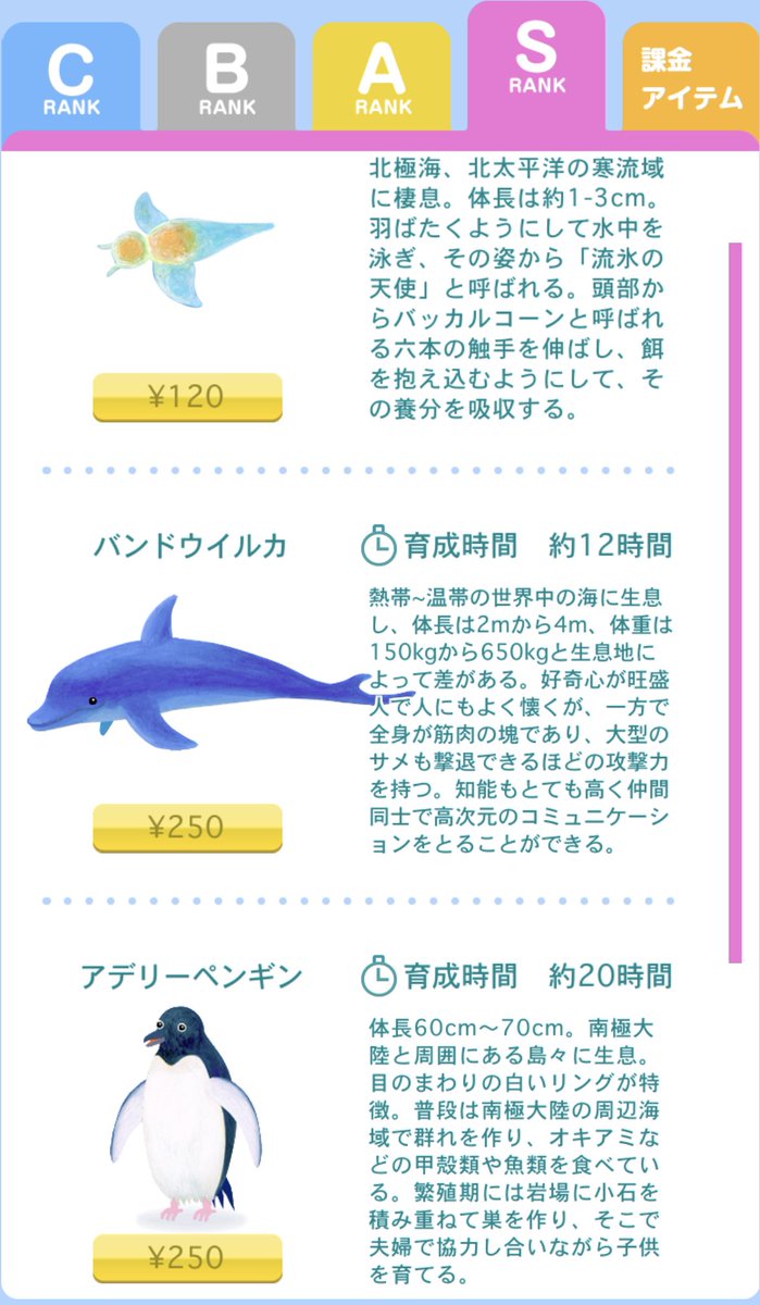 遍路ｊ ジ アングラー 無課金派だったんだけど とうとう課金しちゃった 課金キャラのクリオネとペンギンの育成を終えて今はシャチ その後 鯨を育てる予定です 育成方法はスマホを触らないこと スマホを触ると育成失敗となる 仕事や読書 Toeicの