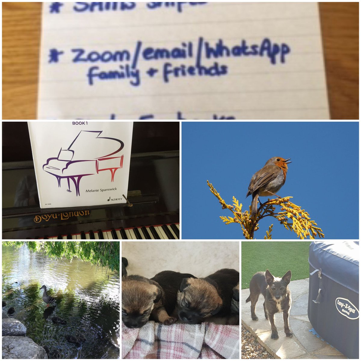 SamsBournemouth's tweet photo. It's been #100days since #lockdown Our volunteers shared their #LockdownTreasures That something special that is helping them through. Do you have a #LockdownTreasure We would love to see them https://t.co/3goxXhqtCC