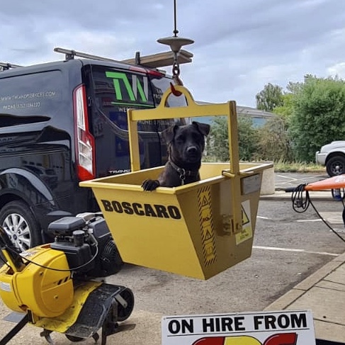 JLRbespoke's tweet photo. Tuco Tuesday 
Here is he, making sure the hire equipment is working as it should be.
Image courtesy of TW Landscape &amp; Property Services
 #property #propertyrenovation #projectmanagement #propertyinspiration #renovationexpert #leicestershireproperty #homeinspiration #workingdog https://t.co/znoXBMFOpW