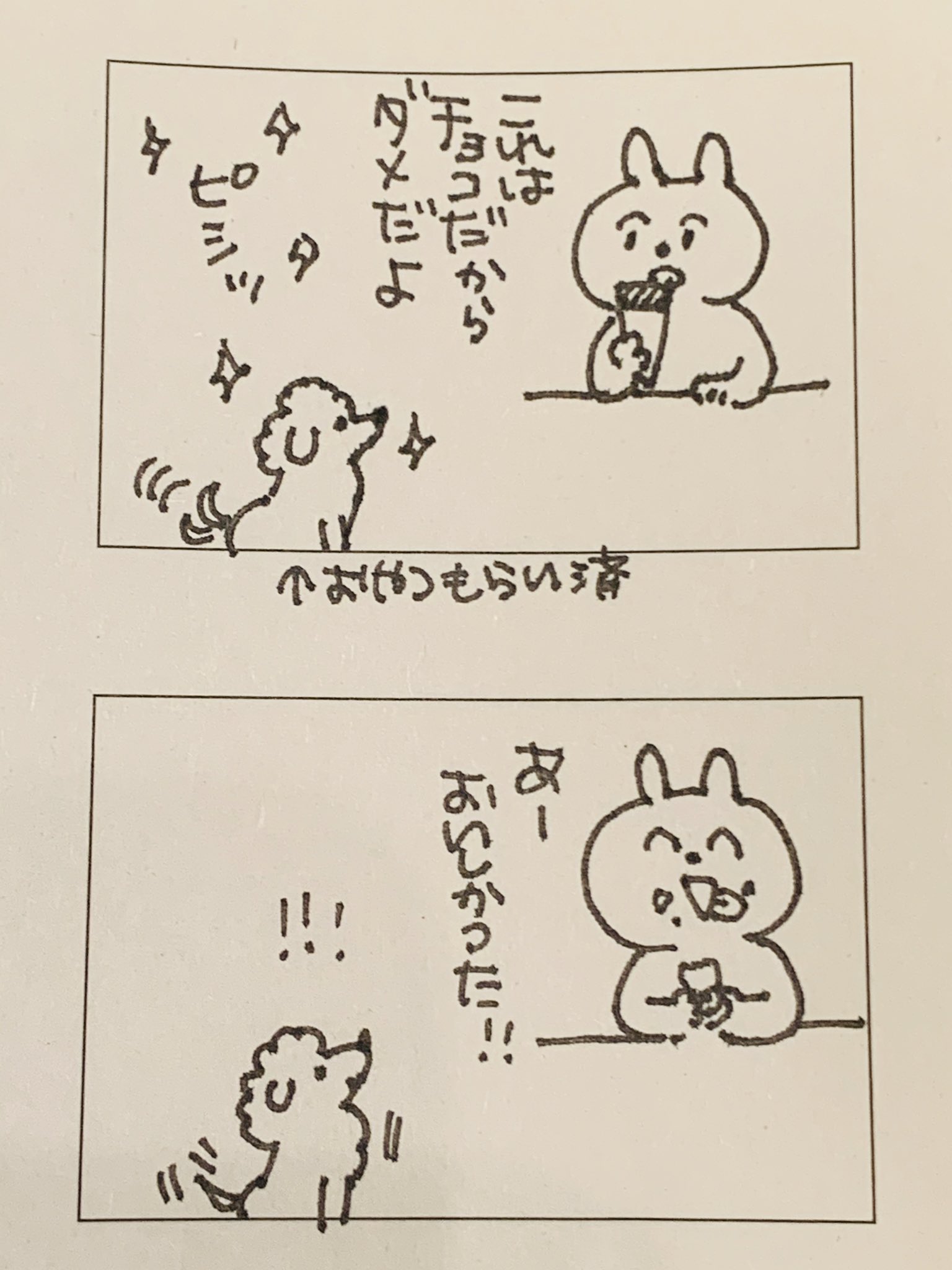 石川チカ 実家のイッヌ 石川チカ 実家のイッヌ