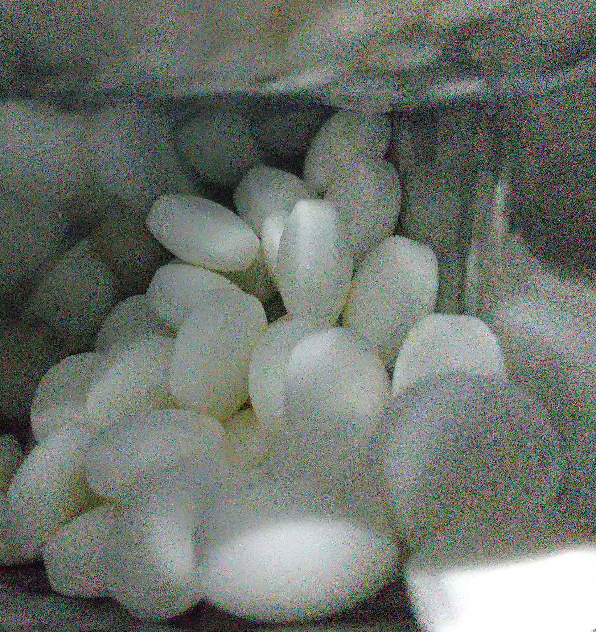みにさらだ 後味スーッと爽やか 普通サイズもだしてください ラムネミント 大粒ラムネ 森永ラムネ 森永製菓 みにさらだ 後味スーッと爽やか 普通サイズもだしてください ラムネミント 大粒ラムネ 森永ラムネ 森永製菓