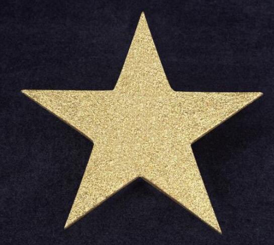 NACCCaterCare's tweet image. The care sector has experienced terrible loss during the Covid-19 pandemic. Today we remember those lives lost as part of the #StarsInMemory campaign. 
We are all Connected by Care – United by Loss. 
You can download your own star toolkit here: lnkd.in/daPjHKw