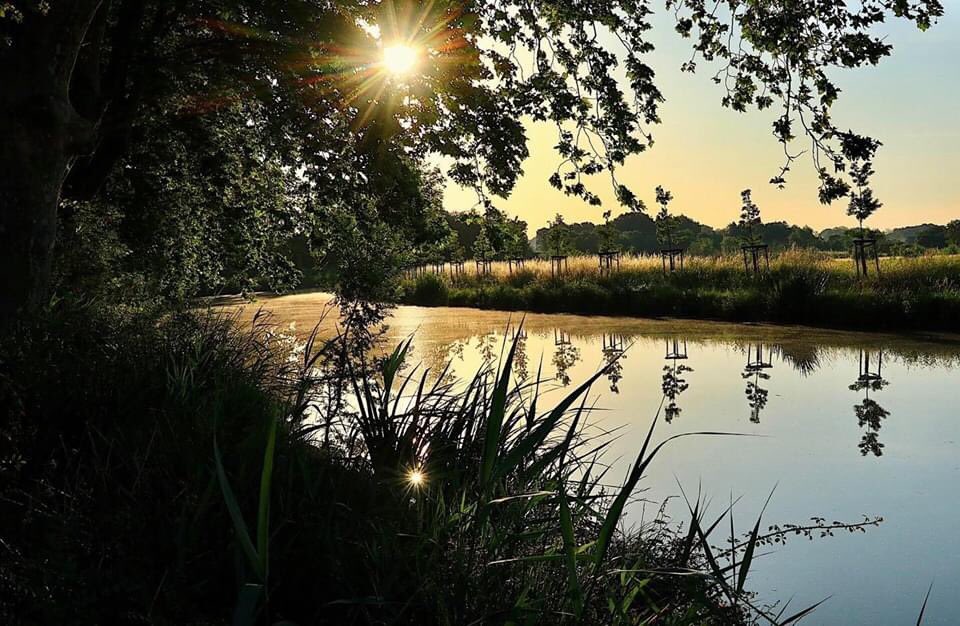 [LE SAVIEZ-VOUS?] #France Naviguer sur le #CanalduMidi

Classé au #patrimoine mondial de l’humanité, le canal du Midi est depuis le XVIIe siècle un trait d’union de 240 kilomètres entre les anciennes régions Midi-Pyrénées et Languedoc-Roussillon et un bel atout touristique 🤩