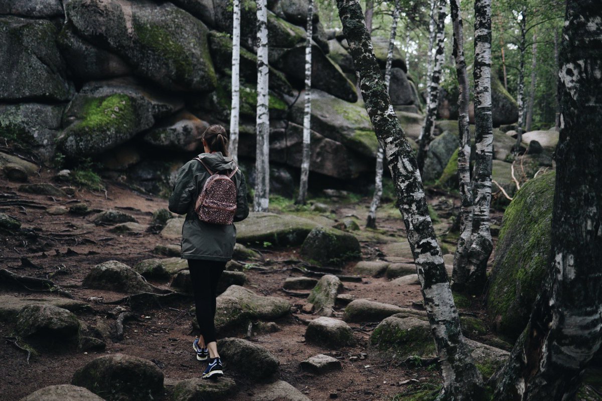 DmitYasha's tweet photo. 🌲🌿 https://t.co/Qq3DJ7jVMm