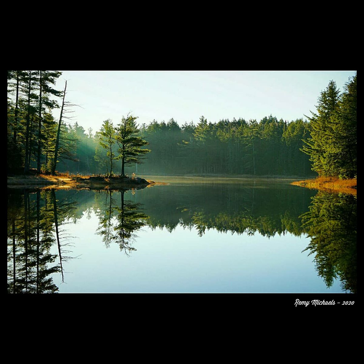 remymichaels's tweet photo. "NORTHERN DREAMS" https://t.co/7dj1wD6KYX #CanadianGeographic #NationalGeographic #AlgonquinPark #Wilderness #JakeLake #Beautiful #Wildlife #Summer #OntarioParks #PicOfTheDay #Travel #Nature #Muskoka #Huntsville #Gravenhurst #Photography #Art #Earth πβοΈππβοΈππ²π²ππΈπΎπΎβ₯οΈπ¨π¦ https://t.co/QyL81nCtZR