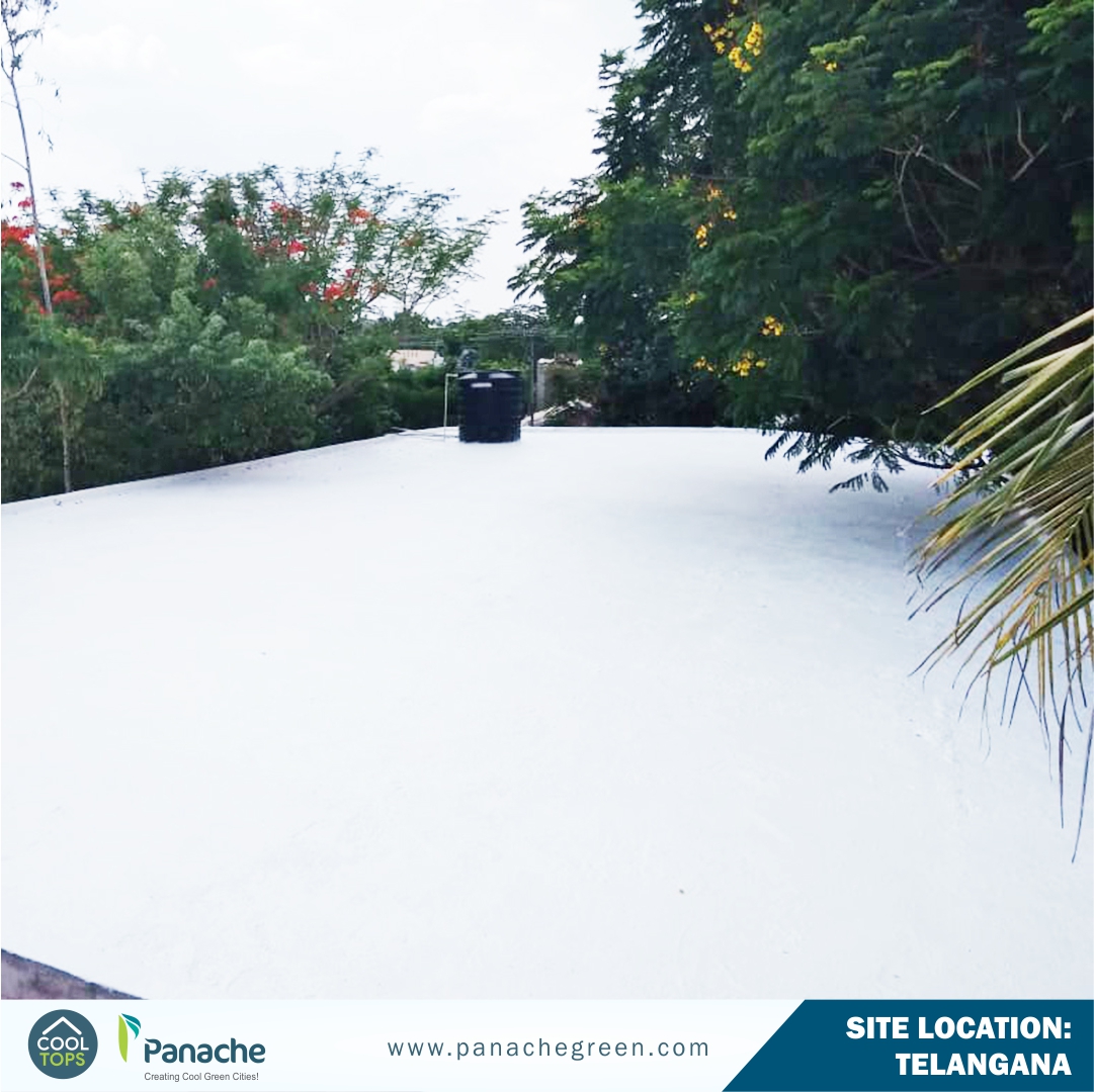panachegreens's tweet photo. "#projectalert
Ongoing Cool Tops Installation for Telangana Cool city program .
Call Now:
๐ 9925188046
For More info Visit Our Website: https://t.co/sjvFWbuvd1
#CoolTops #CoolRoofs #Waterproofing #CoolRoofing #SaveElectricity #BrickWalls #WaterRepellent #IGBC #GreenPro https://t.co/VOIqYxctQ0