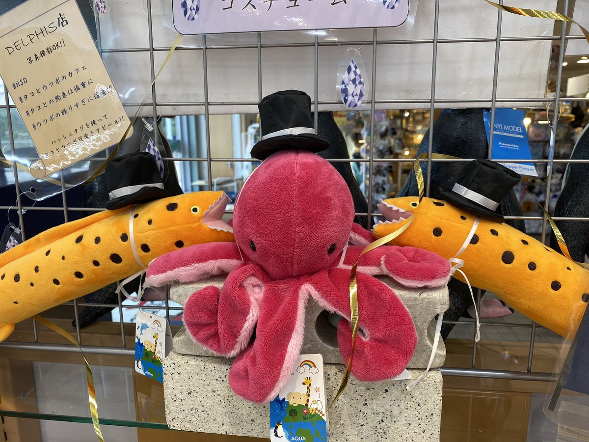萌香 八景島シーパラダイスのお土産やさんにオクタが居たよ こんな飾り方ずるいじゃん 家にもオクタ飾りたい 萌香 八景島シーパラダイスのお土産やさんにオクタが居たよ こんな飾り方ずるいじゃん 家にもオクタ飾りたい