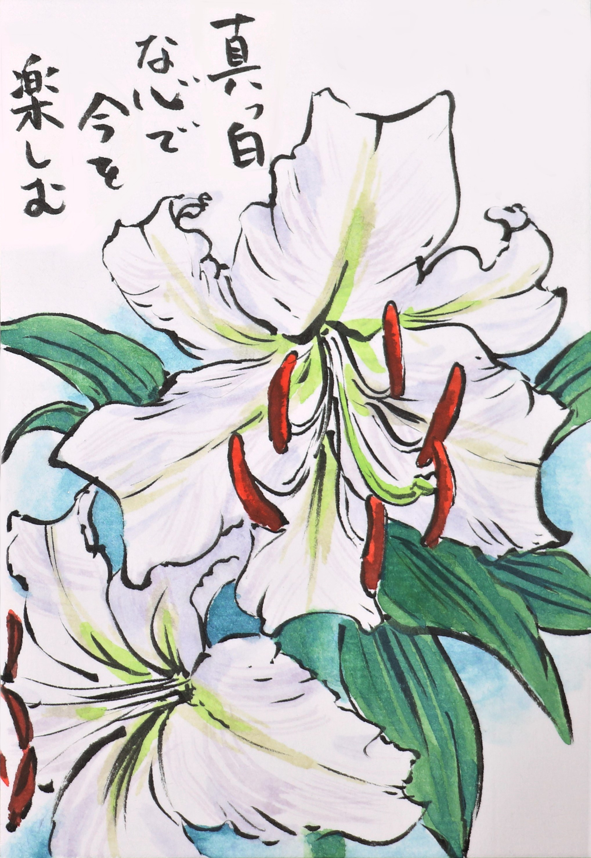 Twitter 上的 快適art絵手紙 初夏から夏にかけて咲く花たち 色んな色があります Youtubeの描き方解説もあります カスブランカ T Co Zmu0ebyksh フレンチラベンダー T Co Px9fkpxuop アカンサス T Co 6grfhkiklg 絵手紙 快適絵手紙