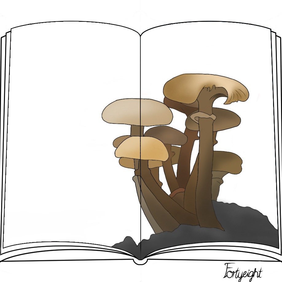 by48hours's tweet photo. Mushrooms 🍄
.
.
.
#byfortyeighthours #artistsoninstagram #mushrooms #mushroom #mushrooms🍄 #art #artist #design #designer #naturelovers #today #thailand #drawing #sketchbook #sketch_daily #sketch #วาดรูป #red #cartoon #black #artwork #birds #mobileart #mobile #landscape #tree https://t.co/czLOsLD871