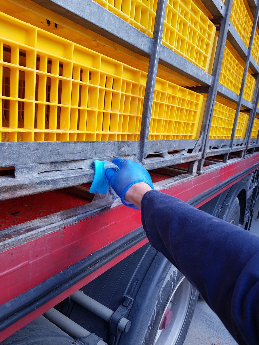 Taking depletion lorry swabs this morning, we swab every 3 weeks for #Salmonella and even the day the birds deplete, food safety is a critical part of 🇬🇧 agriculture, this government must not allow imports which are not of these standards 🐔🐣
#ProudofPoultry
#backbritishfarming