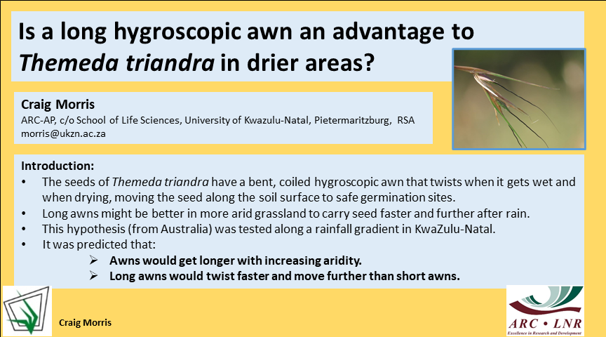GrasslandSocSA's tweet photo. #GSSACongress55 Second poster! Long hygroscopic awns of Themeda triandra moved faster &amp; further than short awns when wet. Contrary to prediction, awns were longer in mesic than drier grassland in KwaZulu-Natal. The multifunctional ecological value of awns requires investigation. https://t.co/0cy88WR1xL