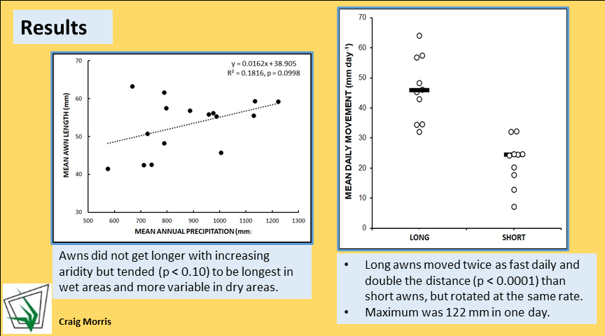 GrasslandSocSA's tweet photo. #GSSACongress55 Second poster! Long hygroscopic awns of Themeda triandra moved faster &amp; further than short awns when wet. Contrary to prediction, awns were longer in mesic than drier grassland in KwaZulu-Natal. The multifunctional ecological value of awns requires investigation. https://t.co/0cy88WR1xL