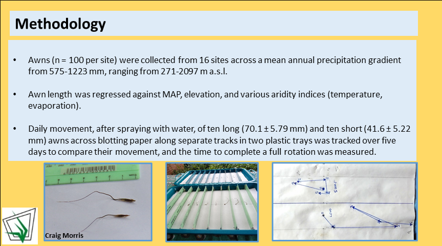 GrasslandSocSA's tweet photo. #GSSACongress55 Second poster! Long hygroscopic awns of Themeda triandra moved faster &amp; further than short awns when wet. Contrary to prediction, awns were longer in mesic than drier grassland in KwaZulu-Natal. The multifunctional ecological value of awns requires investigation. https://t.co/0cy88WR1xL