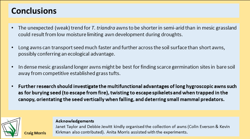 GrasslandSocSA's tweet photo. #GSSACongress55 Second poster! Long hygroscopic awns of Themeda triandra moved faster &amp; further than short awns when wet. Contrary to prediction, awns were longer in mesic than drier grassland in KwaZulu-Natal. The multifunctional ecological value of awns requires investigation. https://t.co/0cy88WR1xL