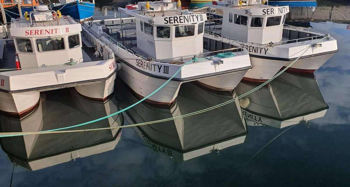 thefarnes's tweet photo. Great News...
We will be sailing grom the 4th July onwards but it will only for sail arounds and limited numbers too. Click on the link and find out about our covid19 guidelines and our sailing schedule. https://t.co/M0fcCpk18l 
#farneislands #northumberland https://t.co/lKcQDW3VUM