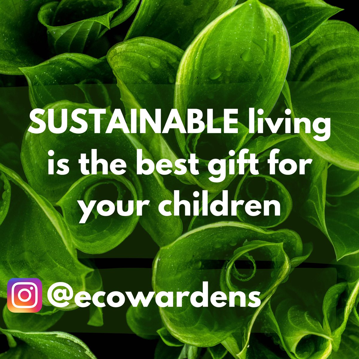 ResonatingN's tweet photo. The man was left bewildered wondering what a kid will do with natural cleaners, plants, composters as a birthday gift?
He turned the card and read the only quote Gift Life
#mysustainablelife #story #ForNature #Mission1point5 #YouthforNature #ownuppolluters #beatplasticpollution https://t.co/QWvU7gyWIz