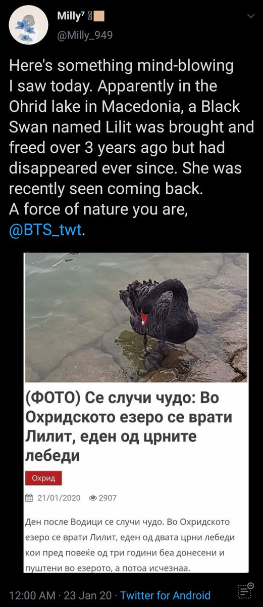 a black swan returned a few days after the release of bts's black swan !!