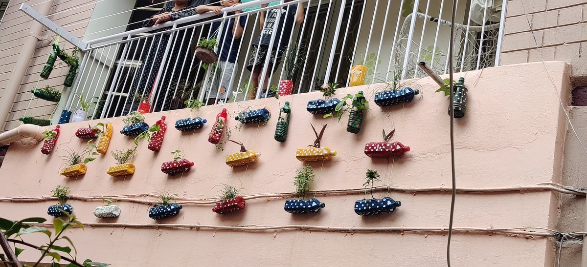 anuragrbl's tweet photo. Created bottle garden after inputs from @taxmanhelp247 
Some learning on #Twitter 
Re-use plastic instead of throwing it. https://t.co/bSDREtYmsF