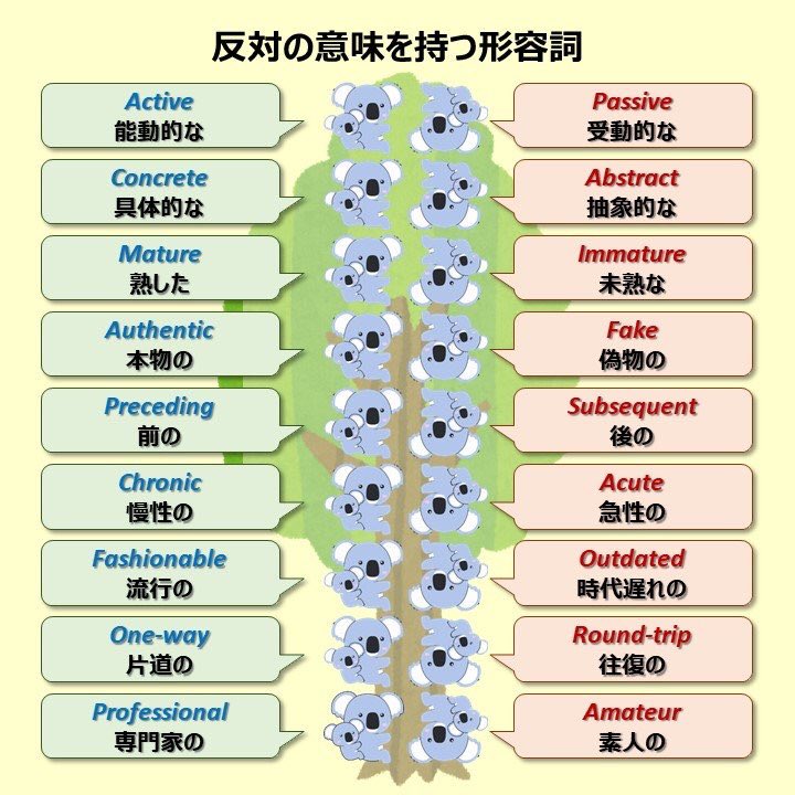 こあたん こあらの学校 対義語や同義語と関連付けて楽しく学んでいきましょう こあたん こあらの学校 対義語や同義語と関連付けて楽しく学んでいきましょう