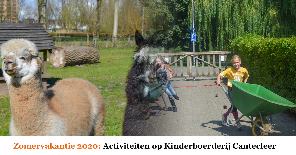 💕 Hoera het is weer bijna Zomervakantie! 💕

Bij kinderboerderij Cantecleer hebben we 6 weken lang een goed gevuld programma met allerlei leuke en leerzame activiteiten.

Alle activiteiten en info kun je bekijken op onze website:
cantecleer.com/zomeractivitei…
<a href="/KampenTourist/">Kampen Tourist Info</a>