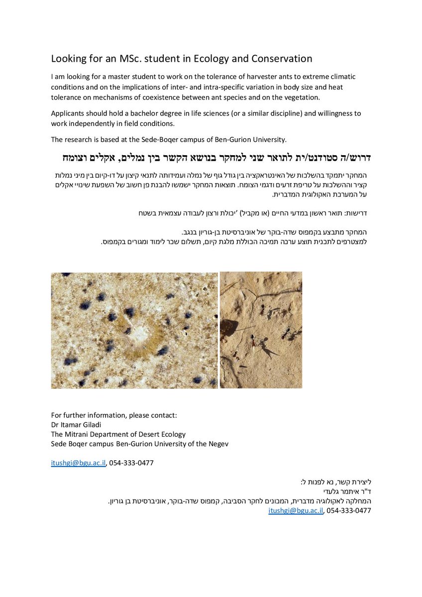Looking for an #MSc. student in #Ecology and #Conservation!

1) Tolerance of harvester #ants to extreme #climatic  🐜
2) Eco-#hydrology in hyper-#arid areas 💧🌱

The research is based at the Sede-Boqer campus <a href="/mddeBGU/">mdde</a> of <a href="/BenGurionUni/">אוניברסיטת בן-גוריון בנגב</a> 

<a href="/Itamar_Giladi/">Itamar Giladi</a> 
<a href="/DSASC_IL/">DSASC</a> 

#ramoncrater