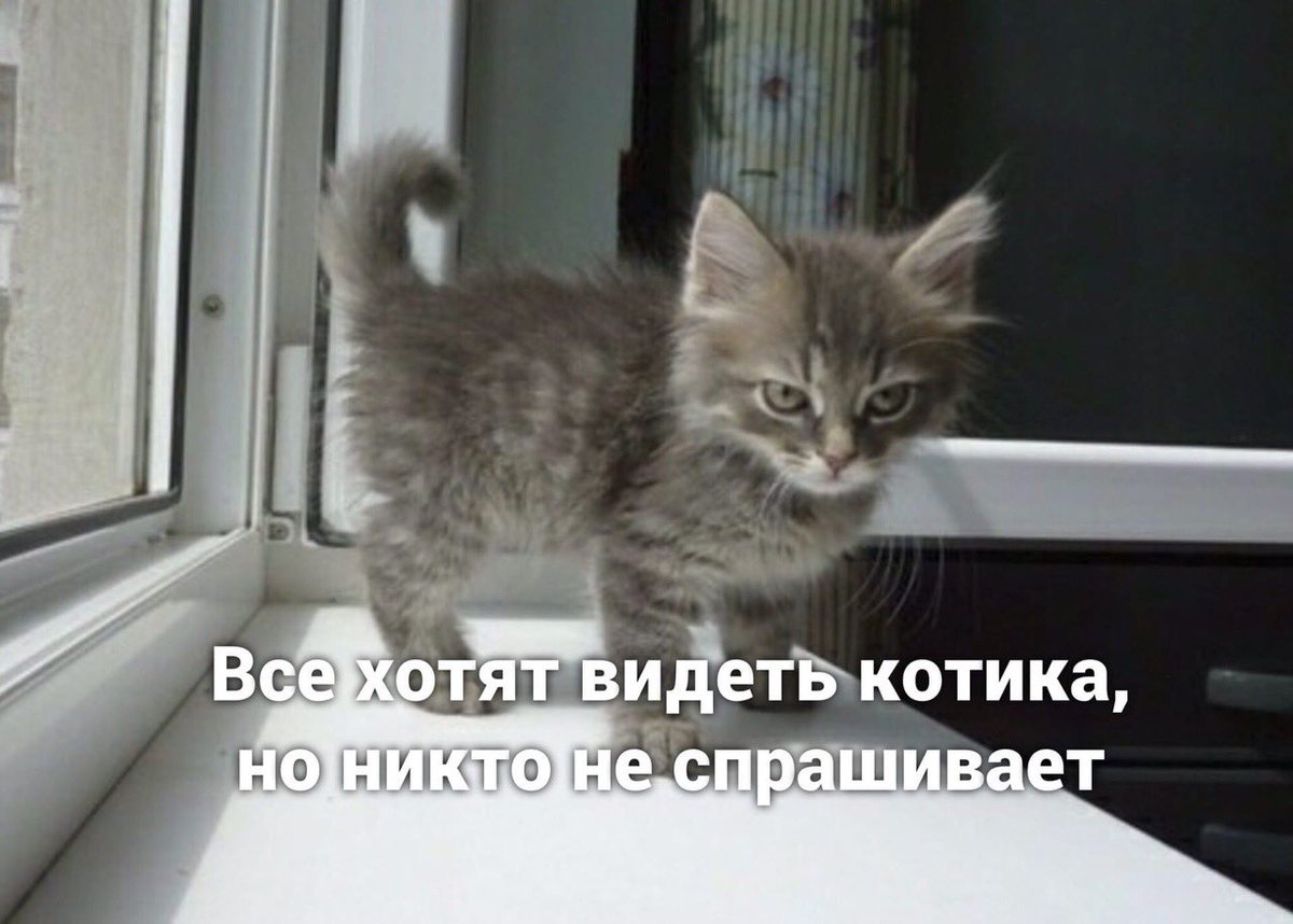 Лепра tweet media