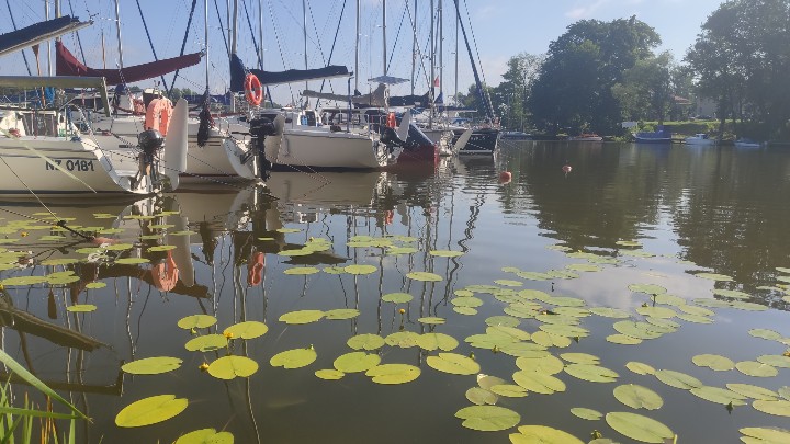 jacekzelasko's tweet photo. Słońce, woda, zagłówki. #poranek https://t.co/hoe9R0sD2F
