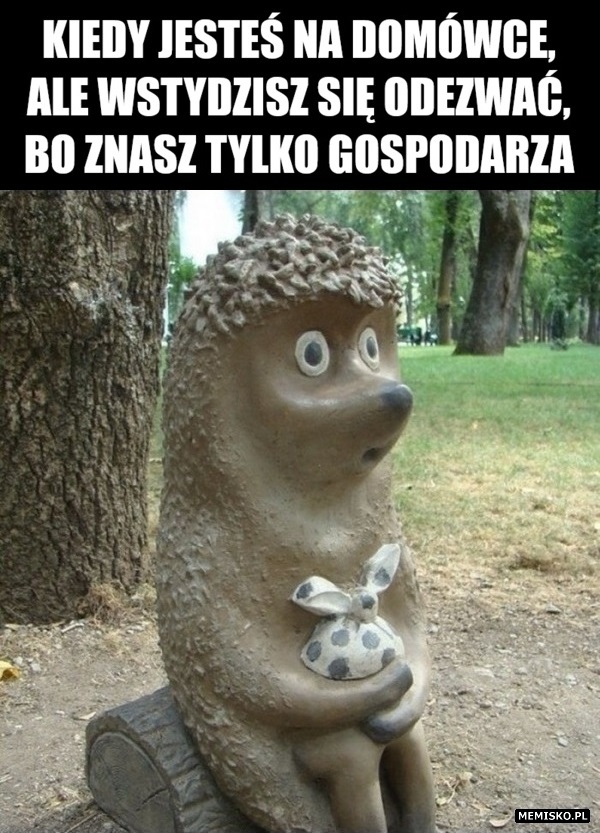 MemiskoPL's tweet photo. Poznawanie nowych ludzi #ludzie #domówka #wstyd #jeż #impreza #mem #memy #humor #gospodarz #polska #friends #smutek #party #funny #poland #pet #lol #people #houseparty #travel #polishboy #meme #motywacja #jesień

Zapraszamy na https://t.co/oGJFXdeZOI https://t.co/1zpgTMQEGs
