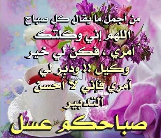 Ahmed Ewies (@ewiesahmed) on Twitter photo 