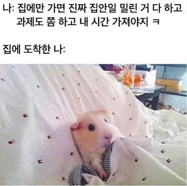WkfxjfrP's tweet photo. 하루하루 이렇게 살아가고있음 https://t.co/2Ppk6KlZMg