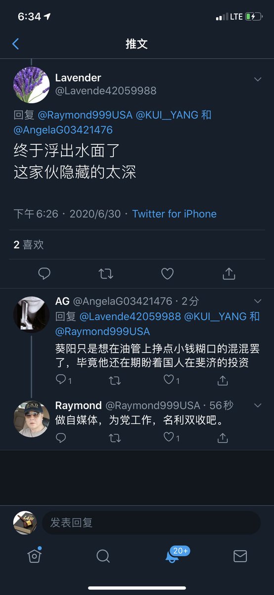 Kui Yang 葵阳先生on Twitter 意味着 黑云压境 红龙屠城 时代革命彻底结束 好难过 这是一个联动过程 所有中国人都逃不过