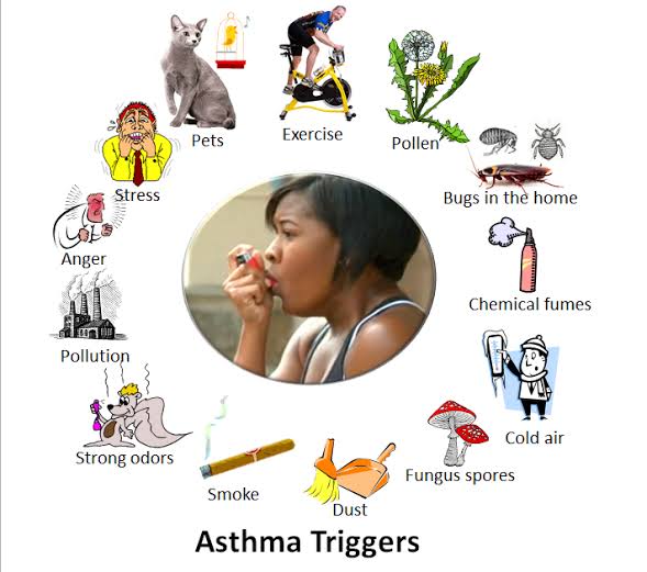 Asthmatic Attacks doesn't start on its own, it only starts as a reaction to "ASTHMA TRIGGERS".• So What Are ASTHMA TRIGGERS?- ASTHMA TRIGGERS are things that cause asthmatic symptoms and they include the following:1. Infections2. Air pollution3. Tobacco smoke4. Exercise
