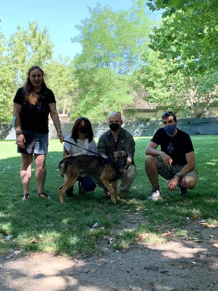 AdoptaK's tweet photo. Ray, Gouco y Bill, todos jubilados de la Guardia Civil, están de enhorabuena😊😊😊, han sido adoptados y ya se encuentran con su nuevas familias 👏🏻👏🏻👏🏻😁😁😁
Feliz jubilación compañeros 😘😘😘😘
#Ray #Gouco #Bill
#GuardiaCivil
#PonUnK9EnTuVida https://t.co/sluxrb9if7