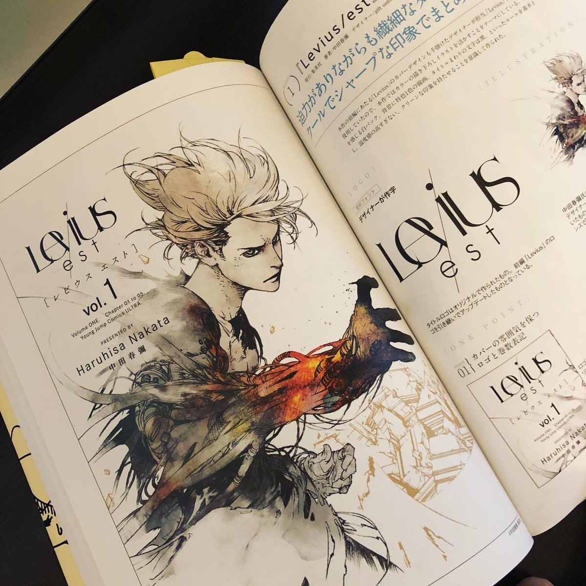現在発売中の日貿出版社「新しいコミックスのデザイン。」でLevius/est