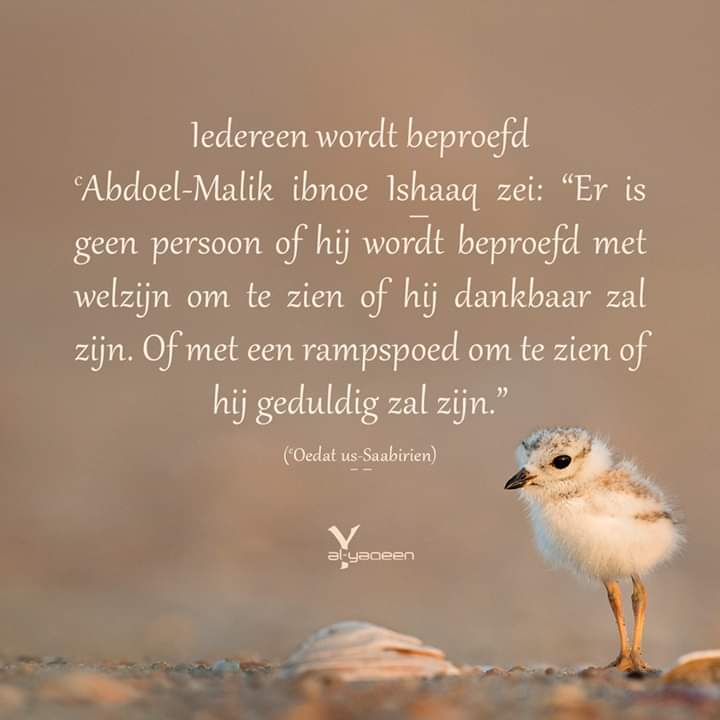 Iedereen wordt beproefd...